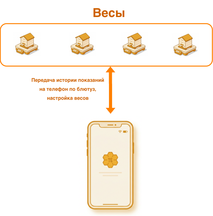 Схема: весы и телефон, передача истории по Bluetooth