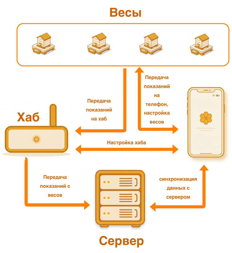 Схема: весы, хаб, сервер и телефон, синхронизация через облако